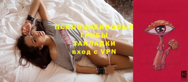 гидропоника Бородино