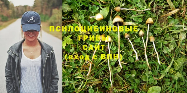 гидропоника Бородино